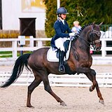 ЗНАЕТ ВСЕ ЭЛЕМЕНТЫ БП