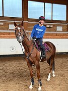 МОЛОДАЯ КОБЫЛА В КОНКУР