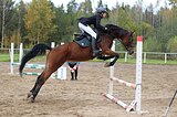 Орловская кобыла