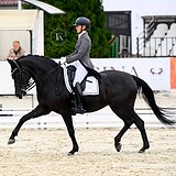 КОБЫЛА 11 ЛЕТ УРОВЕНЬ СП1 