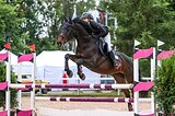 Учитель мерин 2010 гр