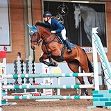 ГОЛШТИНСКАЯ КОБЫЛА 5 ЛЕТ