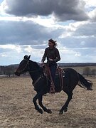 Кобыла хобби