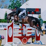 МАРШРУТЫ ДО 120 СМ