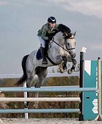 ЖЕРЕБЕЦ ОТ ИМПОРТНЫХ РОДИТ