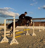 Мерин в конкур