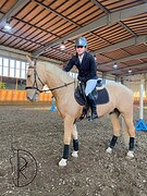 Мерин в любую дисциплину 2022