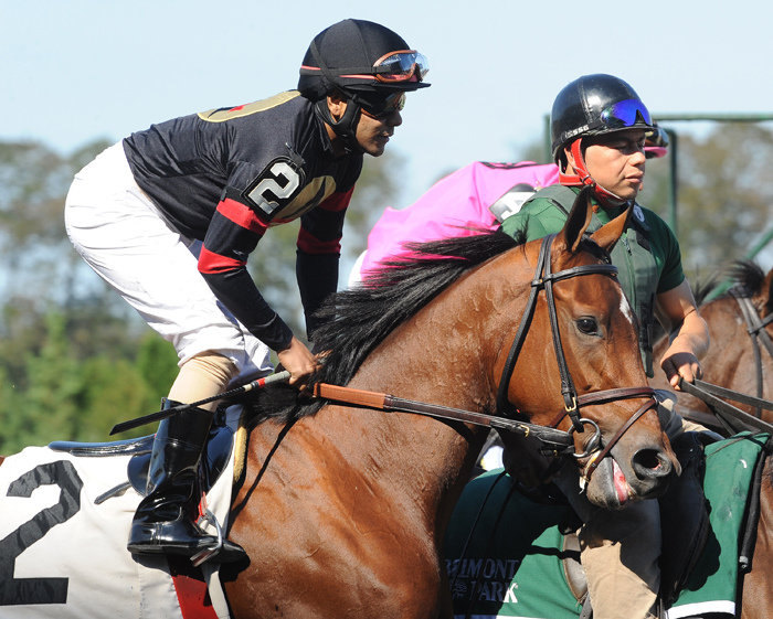 Ипподром Belmont Park 2011 год, скачка Le Slew Stakes