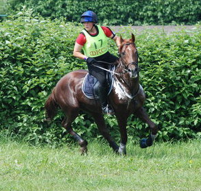 CIC1*/CCI2* Полуфинал Кубка ФО (Москва) Полевые испытания