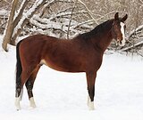 НАРЯДНЫЙ В СПОРТ