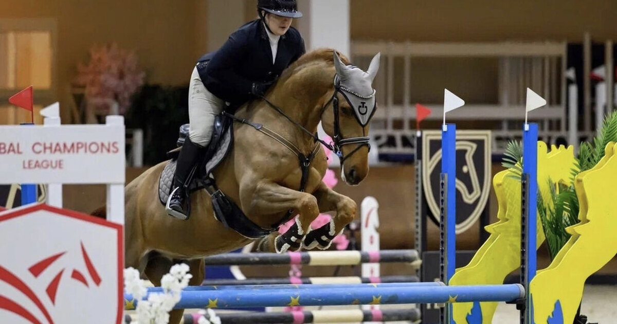 Технология спорта конный