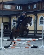 ЖЕРЕБЕЦ В КОНКУР