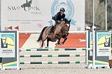 Универсальная кобыла
