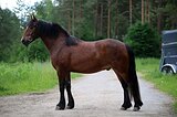 Кросс-тинкер 2021 гр