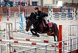 Лошадь-учитель под ребёнка
