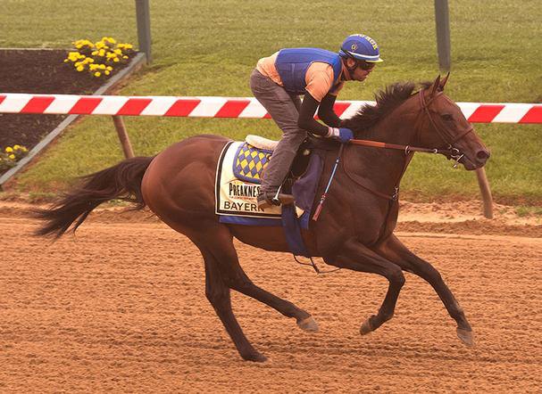 Ипподром Pimlico 2014 год, подготовка ко второму этапу Тройной Короны - Preakness Stakes