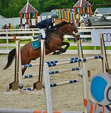 Мерин под детей