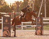 КОБЫЛА ДЛЯ ПОБЕД ДЕТЕЙ