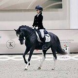 ЭЛЕМЕНТЫ FEI ПОНИ ЕЗД