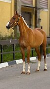 Самовоз