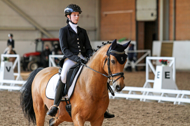 ВЕС ДОН ДЕЛИО и Арсеньева Екатерина