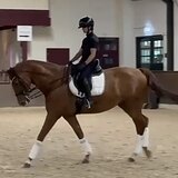 МЕРИН ОТ FEEL GOOD X OLIVI