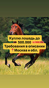 Куплю лошадь до 500 тыс