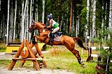 Учитель конкур, троеборье, 