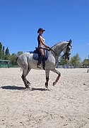 Любава