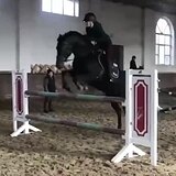 ВОРОНОЙ ЖЕРЕБЕЦ 6 ЛЕТ