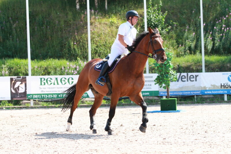 ДУУК ВАН ГЕРИНК-08 и Белехов Александр