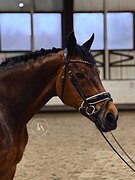 СП2 НА 67,5%, ГОТОВ НА БП 