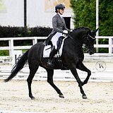 КОБЫЛА 11 ЛЕТ УРОВЕНЬ СП1