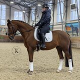 ЭЛЕМЕНТЫ ЮНОШЕСКИХ ЕЗД 