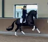 Классный 6-летка!
