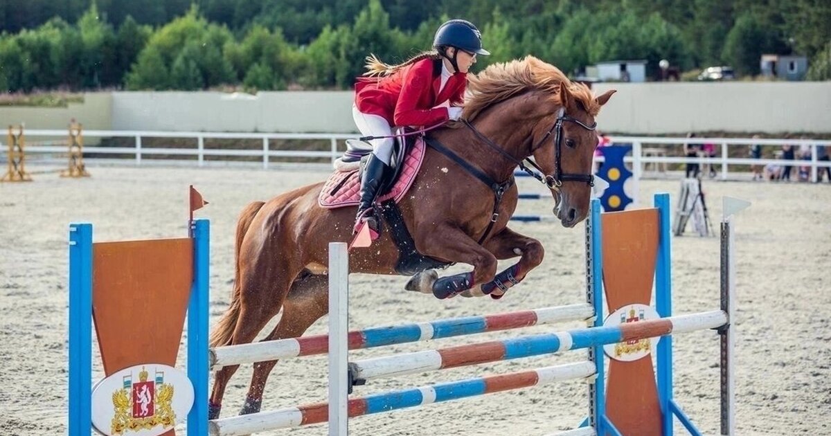 Конкур 100 см
