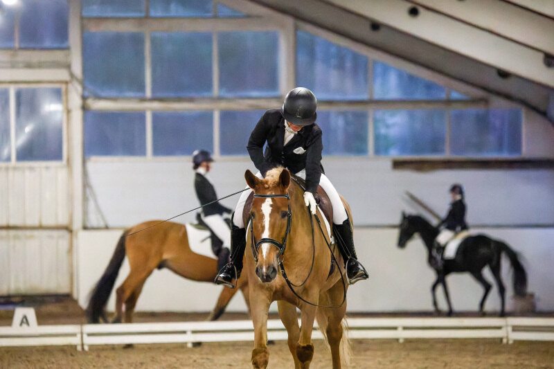 АМСТЕРДАМ-11 и Павлова Наталия