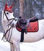 Кобыла 