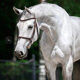 НА МАРШРУТЫ ДО 140 СМ