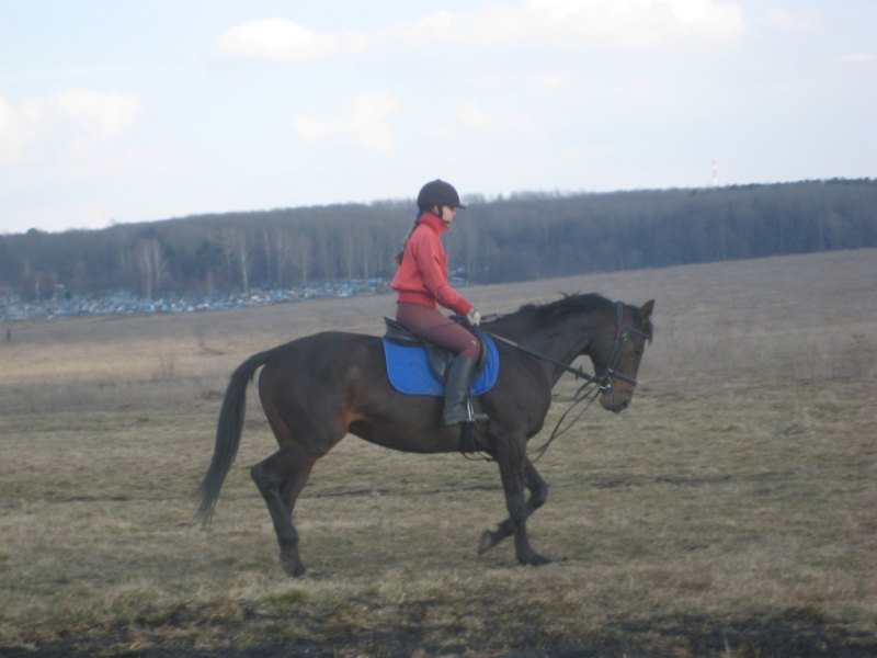 Плаза и я