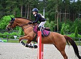 МАРШРУТЫ 95 • ПОД РЕБЕНКА