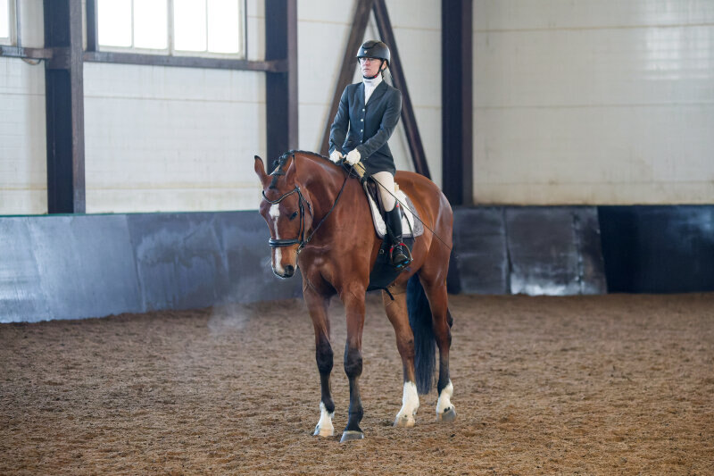 ЧАКДАНО ГРАНД-20 и Алексеева Елена