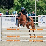 СУПЕРБЕЗОПАСНАЯ КОБЫЛА 