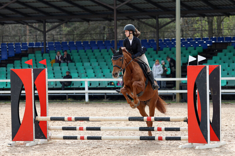 АСТЕРИКС-11 и Петриди Александрия