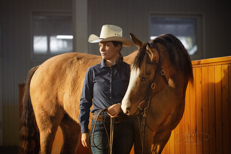 Дария Бойцова и Заветная Мечта (буденновской породы гнедо-саврасой масти) Заводчик Татьяна Зубкова 