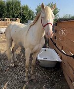 НЕВЕРОЯТНО КРАСИВЫЙ 