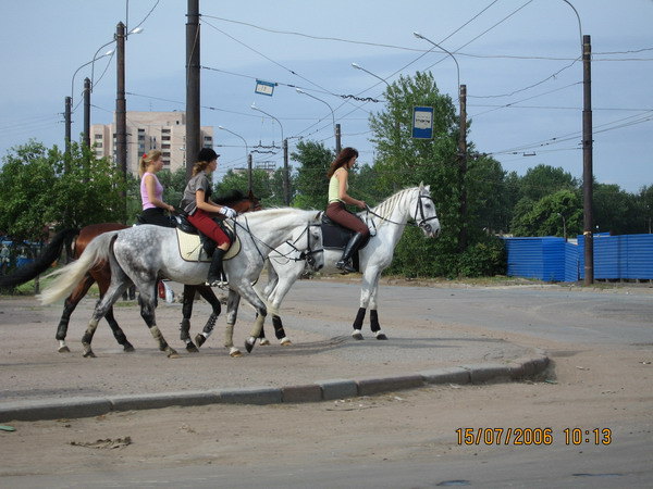 по асфальту только шагом!!!!!!!