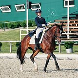 КОБЫЛА 170 СМ В ХОЛКЕ НА МП