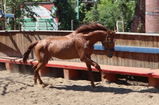 Ребенок 2019 года рождения. Пособие при рождении первого ребенка в 2019. Фильм дети 2019 13-летняя люкке. Инфографика про родившихся. Мы чемпионы псков забег 2022.