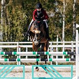 ПРАВНУЧКА CASSINI 7 ЛЕТ